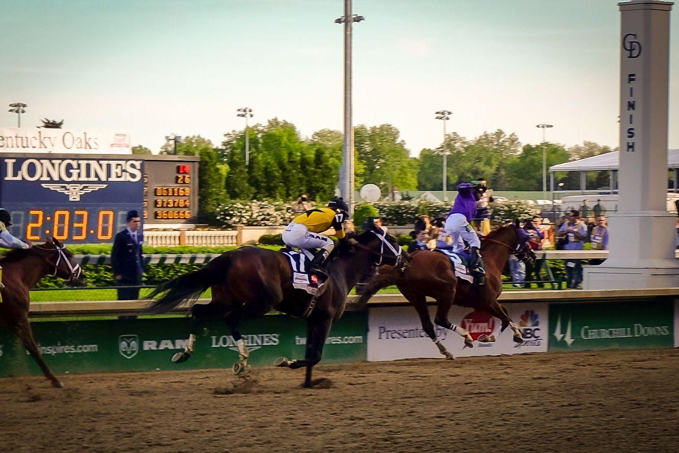 California Chrome winning the 2014 Kentucky Derby.